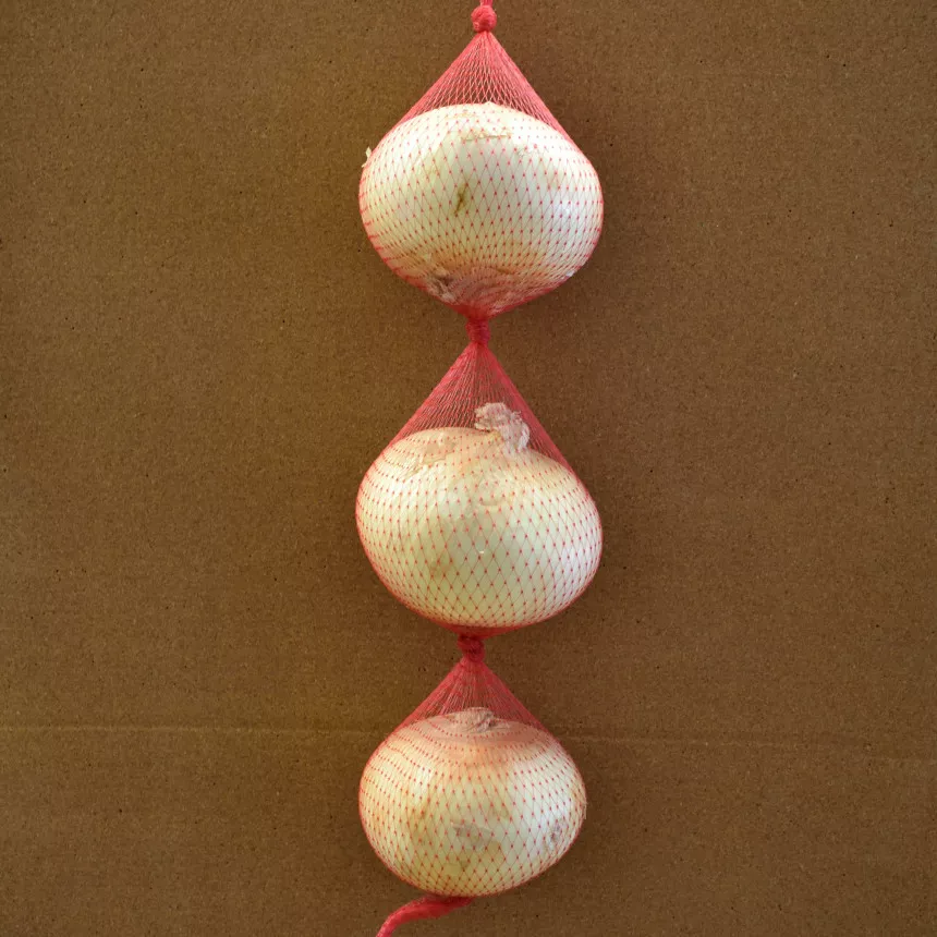10 lb. Mesh Netting