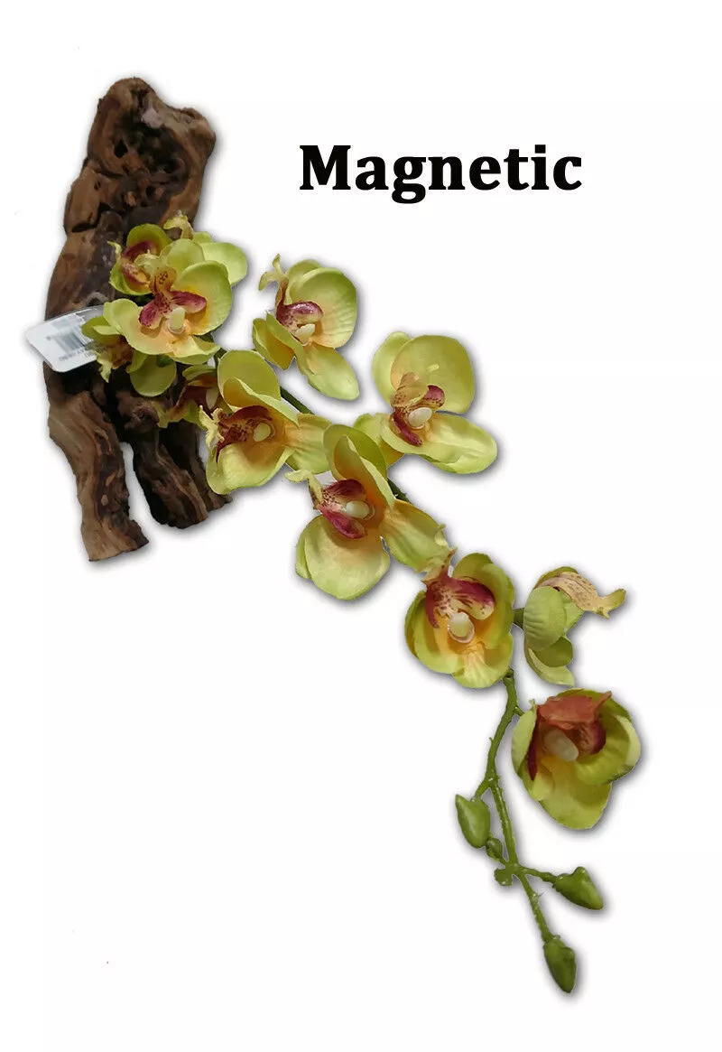 16″ Yellow Orchid Magnatural