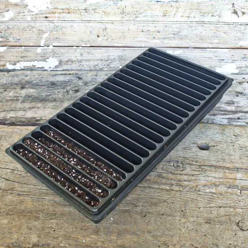 20 Row Seedling Flat (1 Tray)