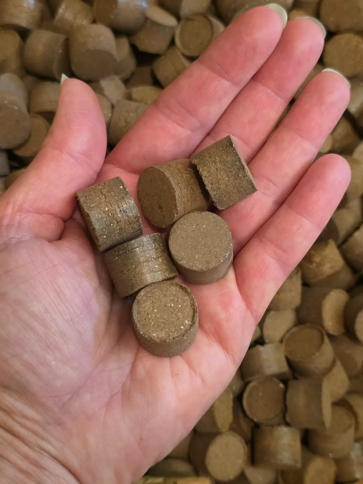 3/4 inch Seed Starting Pucks