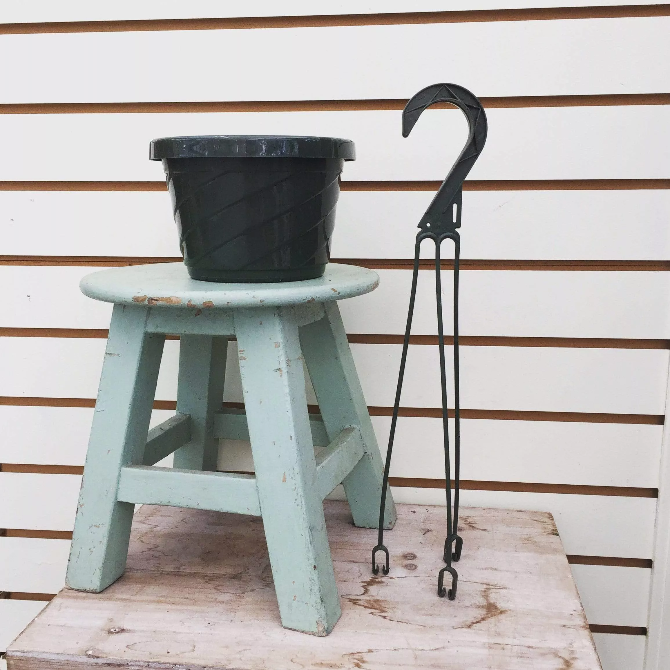 6" Growing Pot