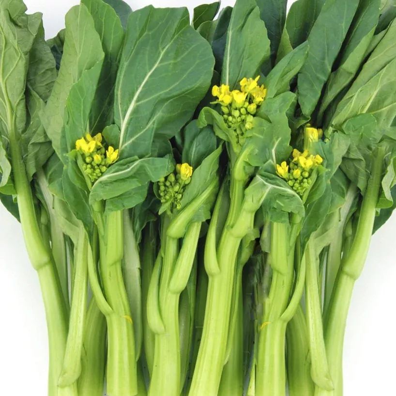 70D Improved Green Yu Choy Sum