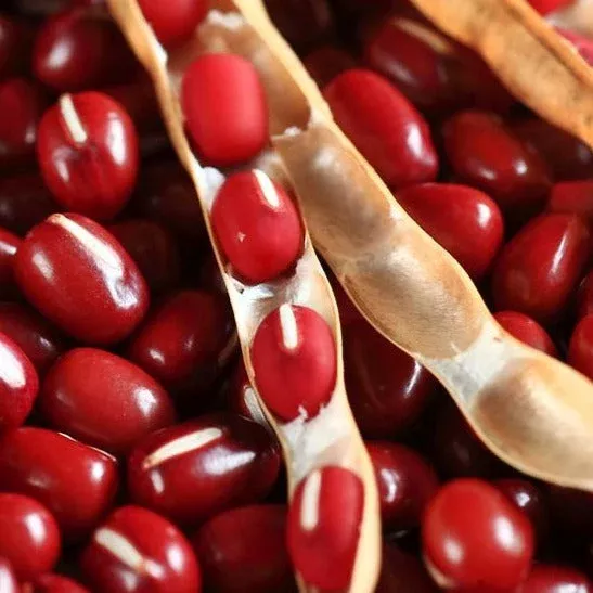 Adzuki Red Bean