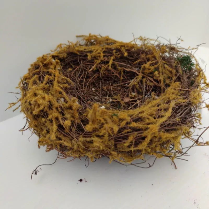 Allstate_ Birdnest