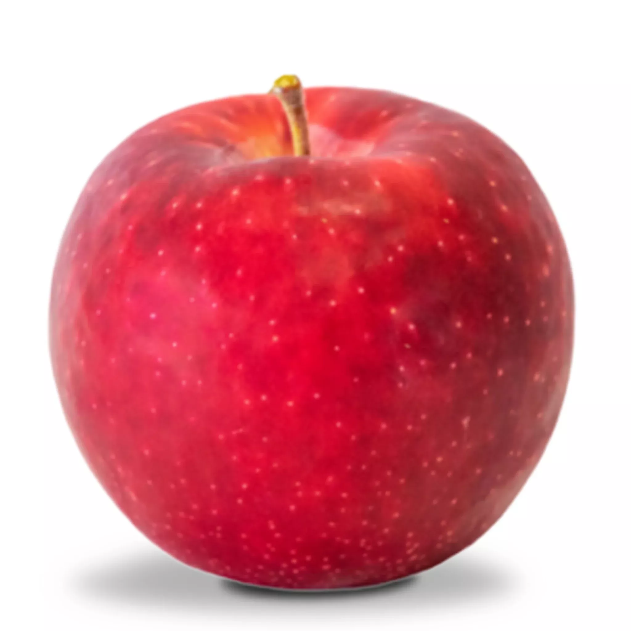Apple, Dwarf, Kudos