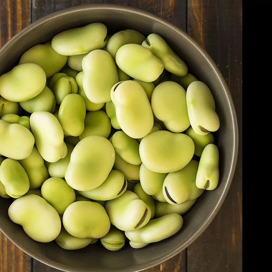 Aquadulce Fava Bean