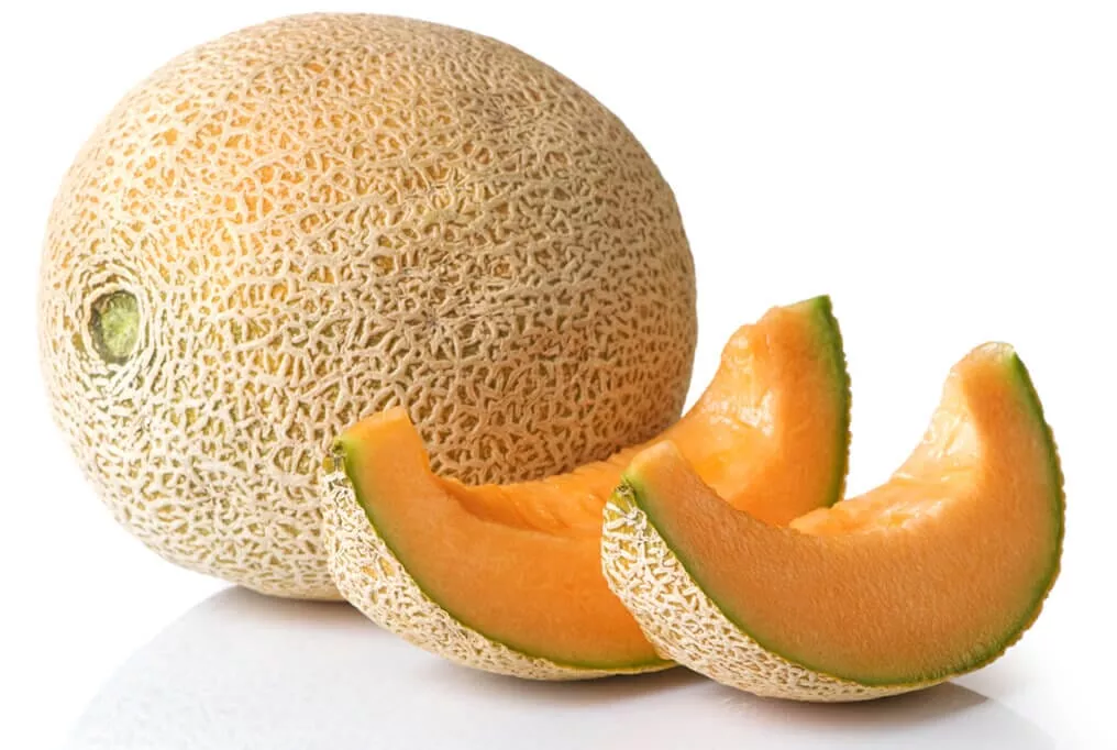Athena Hybrid Cantaloupe F1