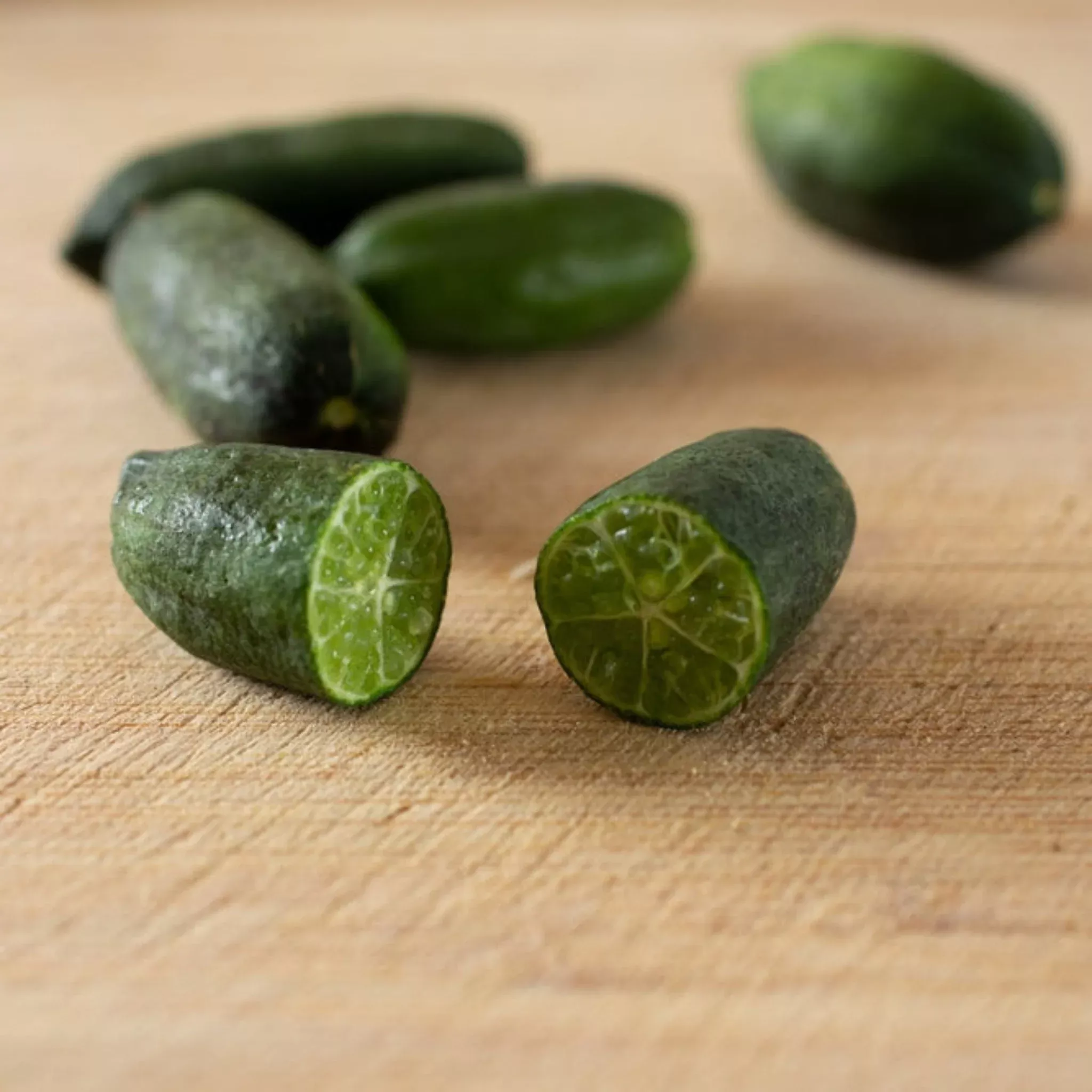 Australian Finger Lime Tree