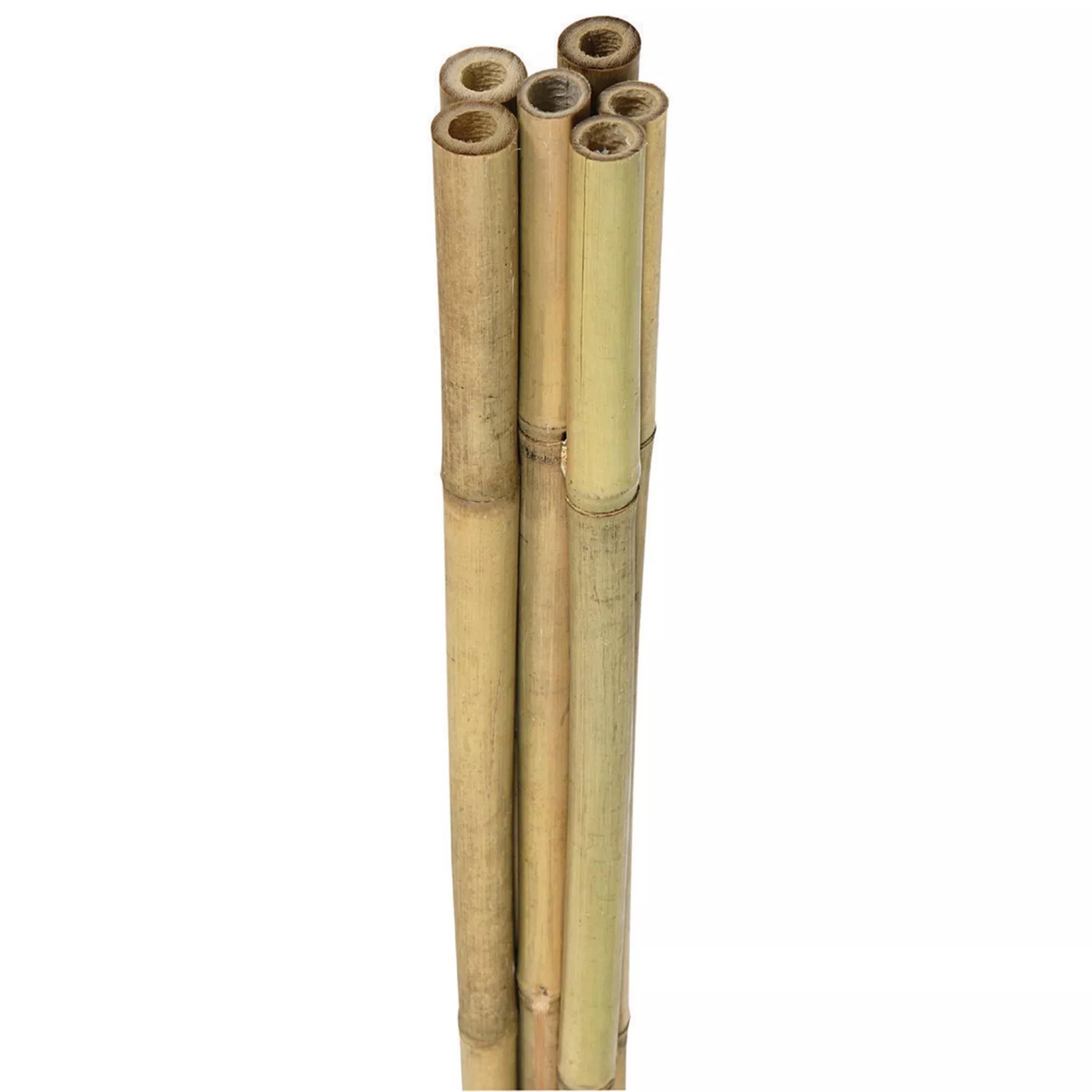 Bamboo Plant Supports, 6 Ft