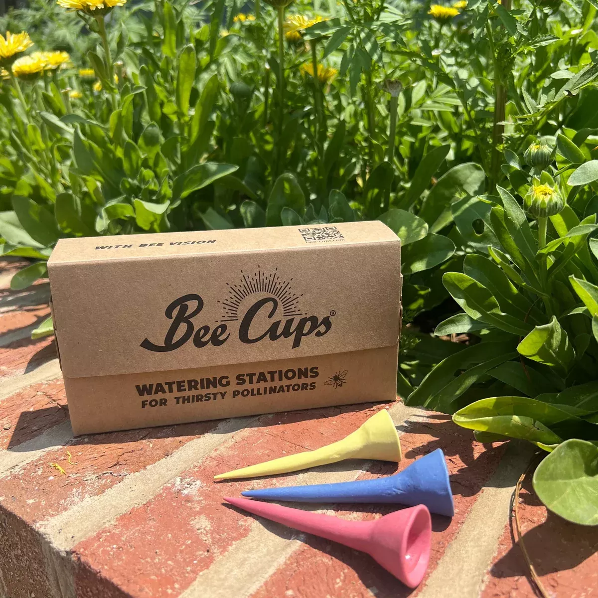 Bee Cups | Handmade Pollinator Watering Stations (3-Pack)