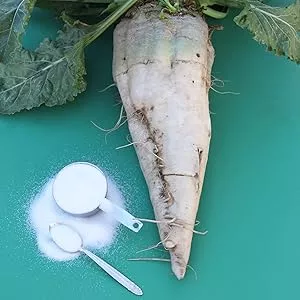 Beet Sugar