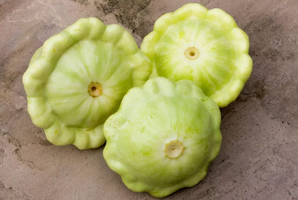 Bennings Green Tint Squash