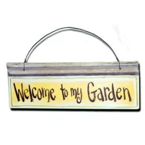 BFA Welcome to my …