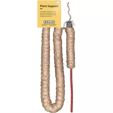 Braun_Plant Support Stake