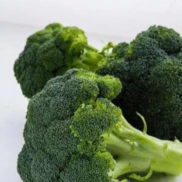 Broccoli Waltham 29 Organic
