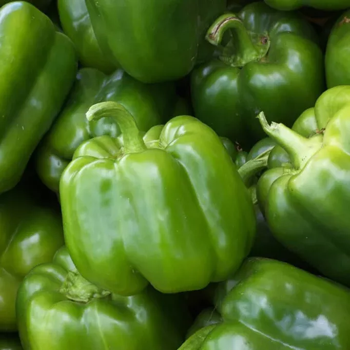 Cal Wonder Bell Pepper