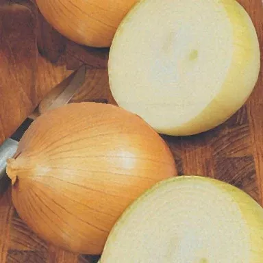 Candy Onion Set per bunch