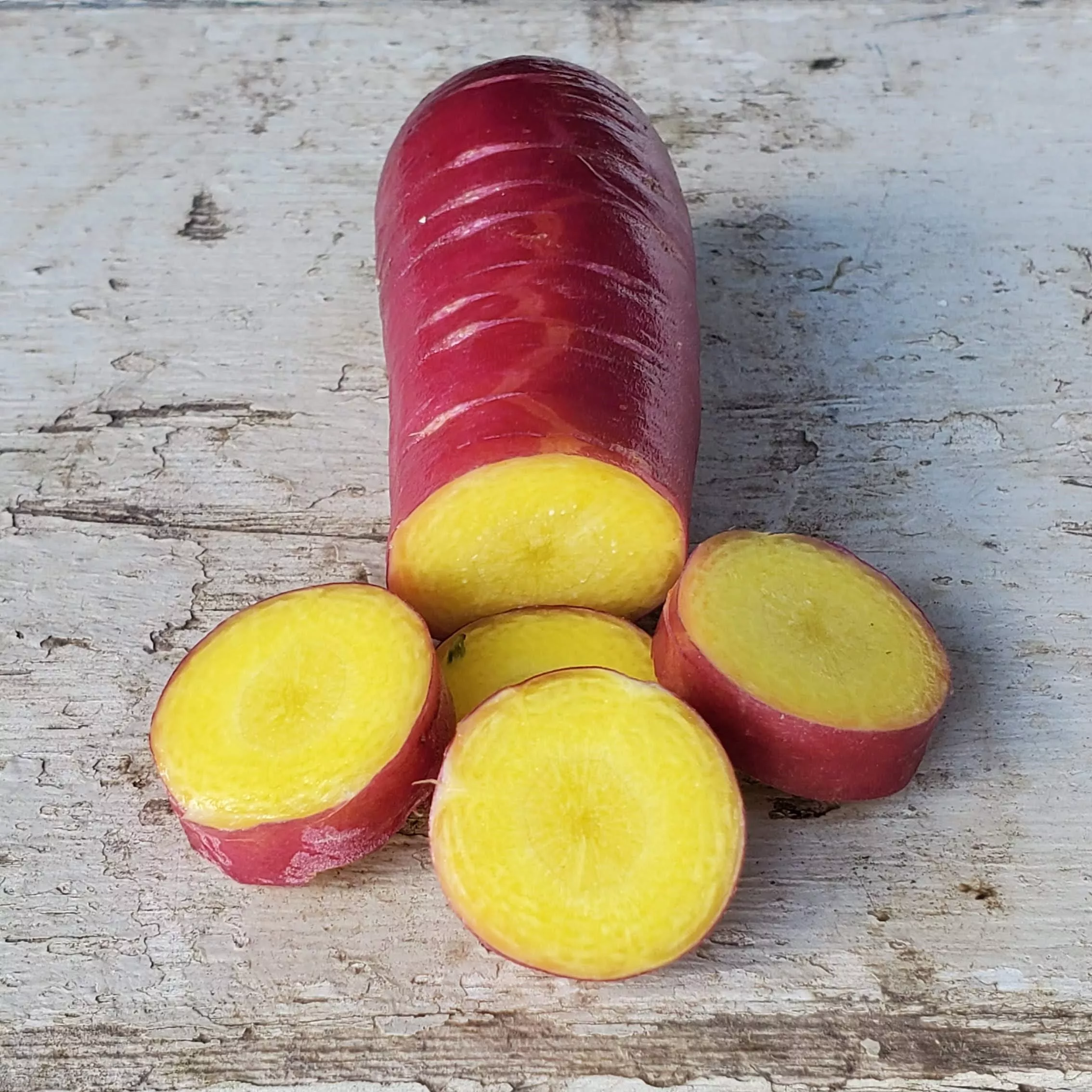 Carrot Cosmic Purple