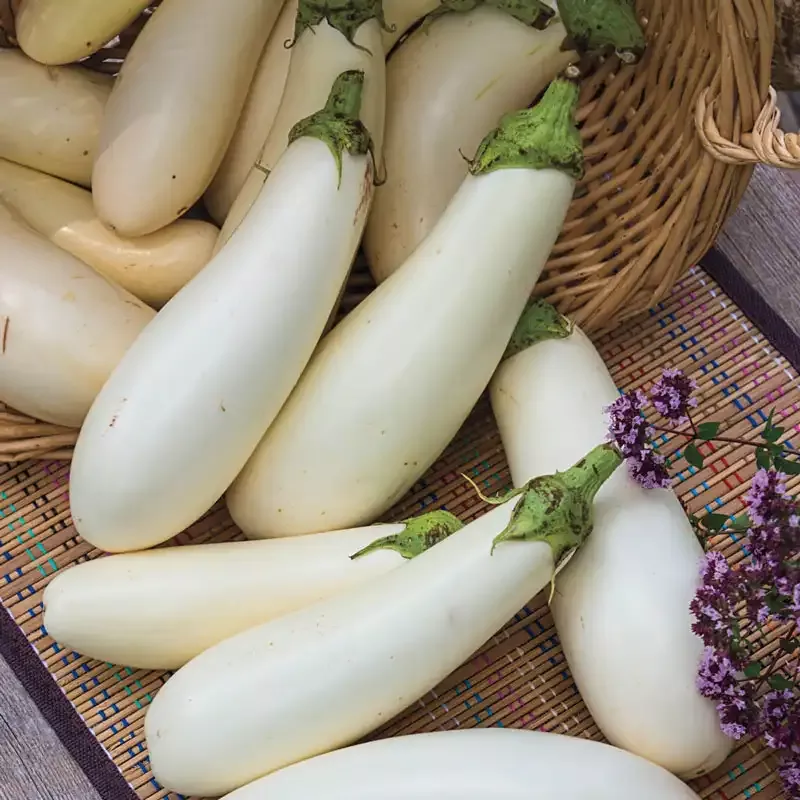 Casper Eggplant