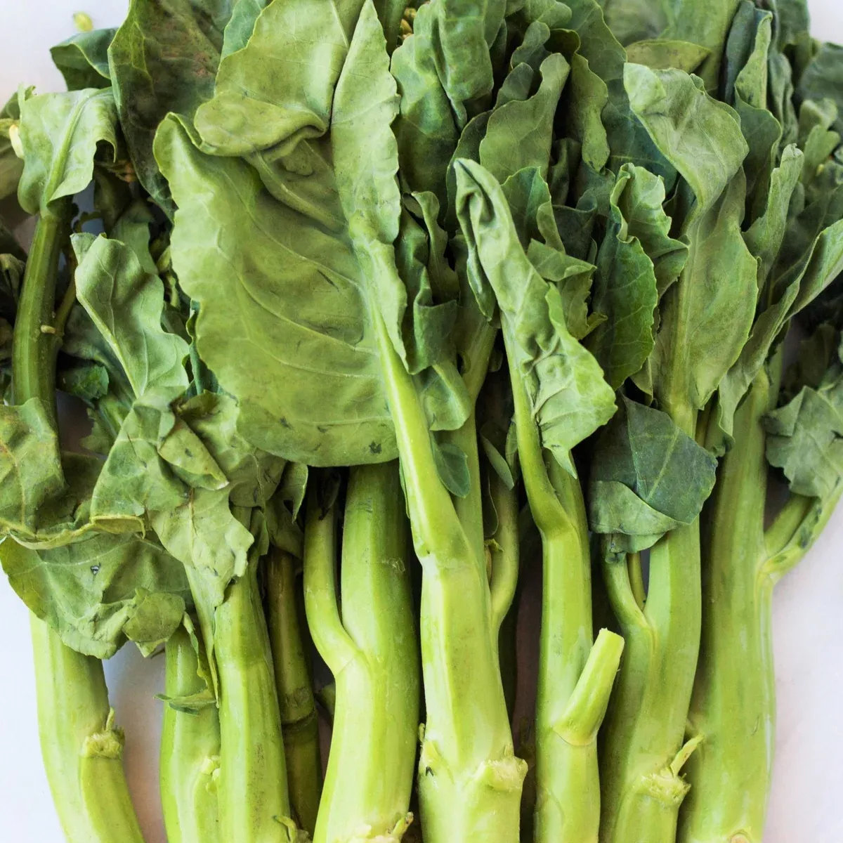 Chinese Broccoli