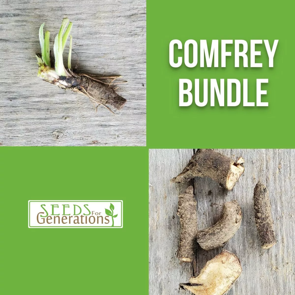 Comfrey Bundle