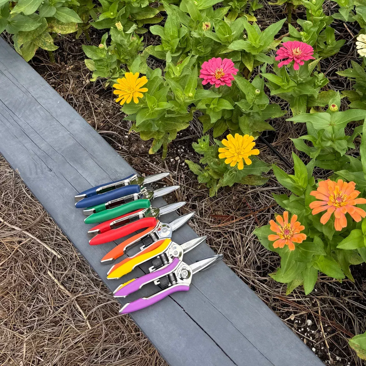 Compact Dramm Pruning Shears