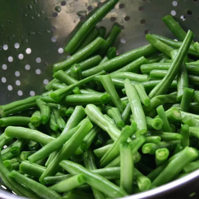 Contender Bush Bean
