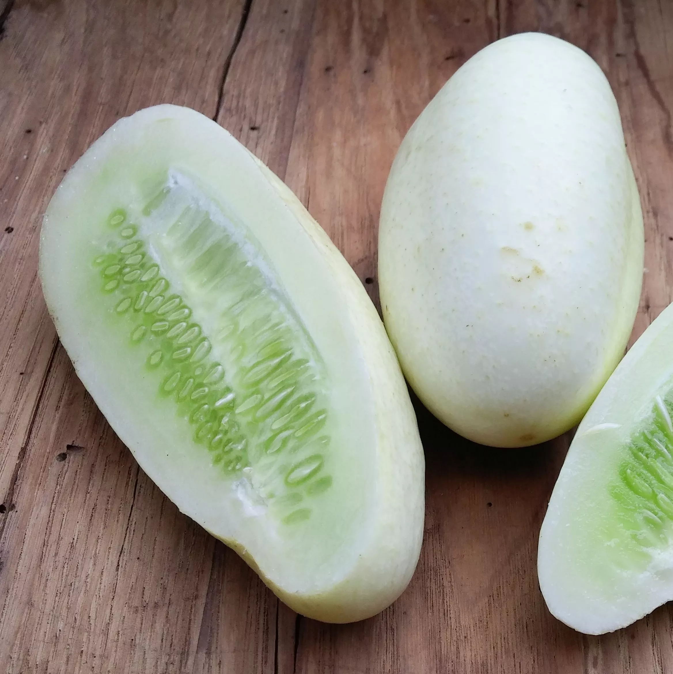 Cucumber White Wonder