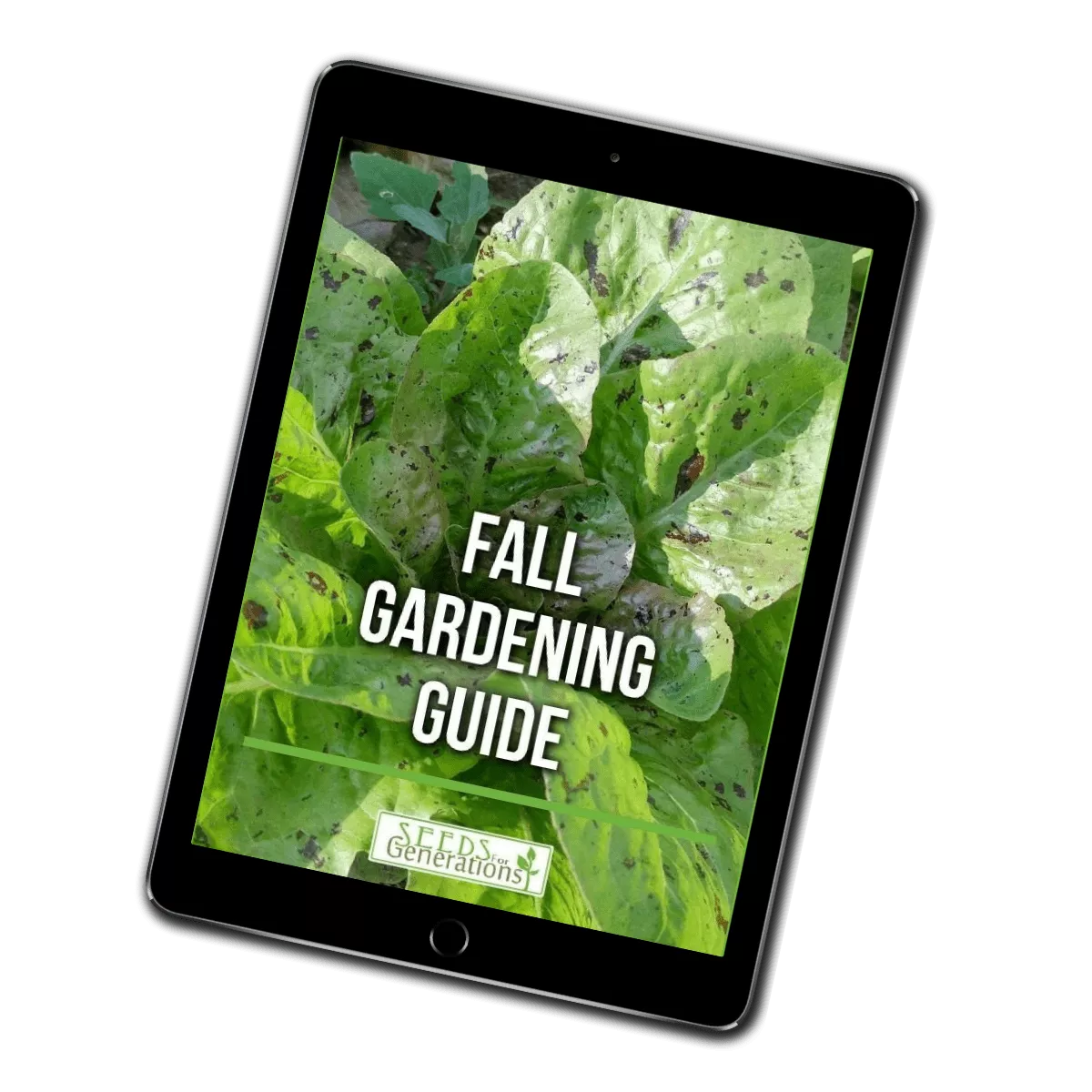Fall Garden Guide