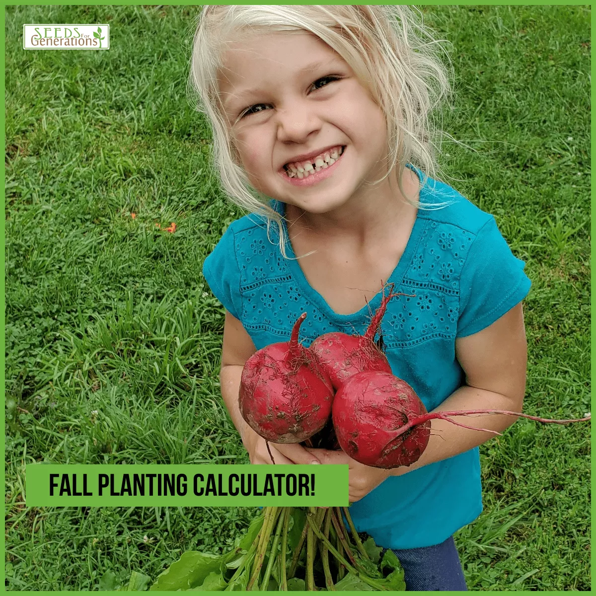 Fall Planting Calculator Basic