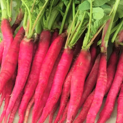 Fire Candle Radish