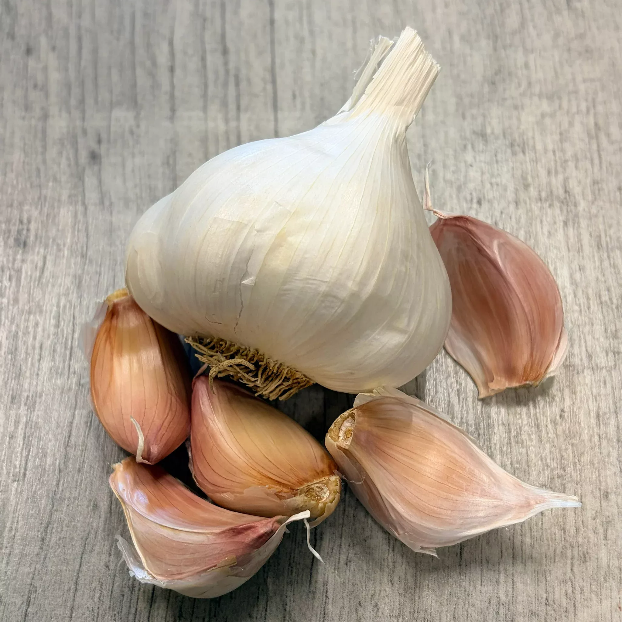 Garlic, Nootka Rose, 1/2 Lb