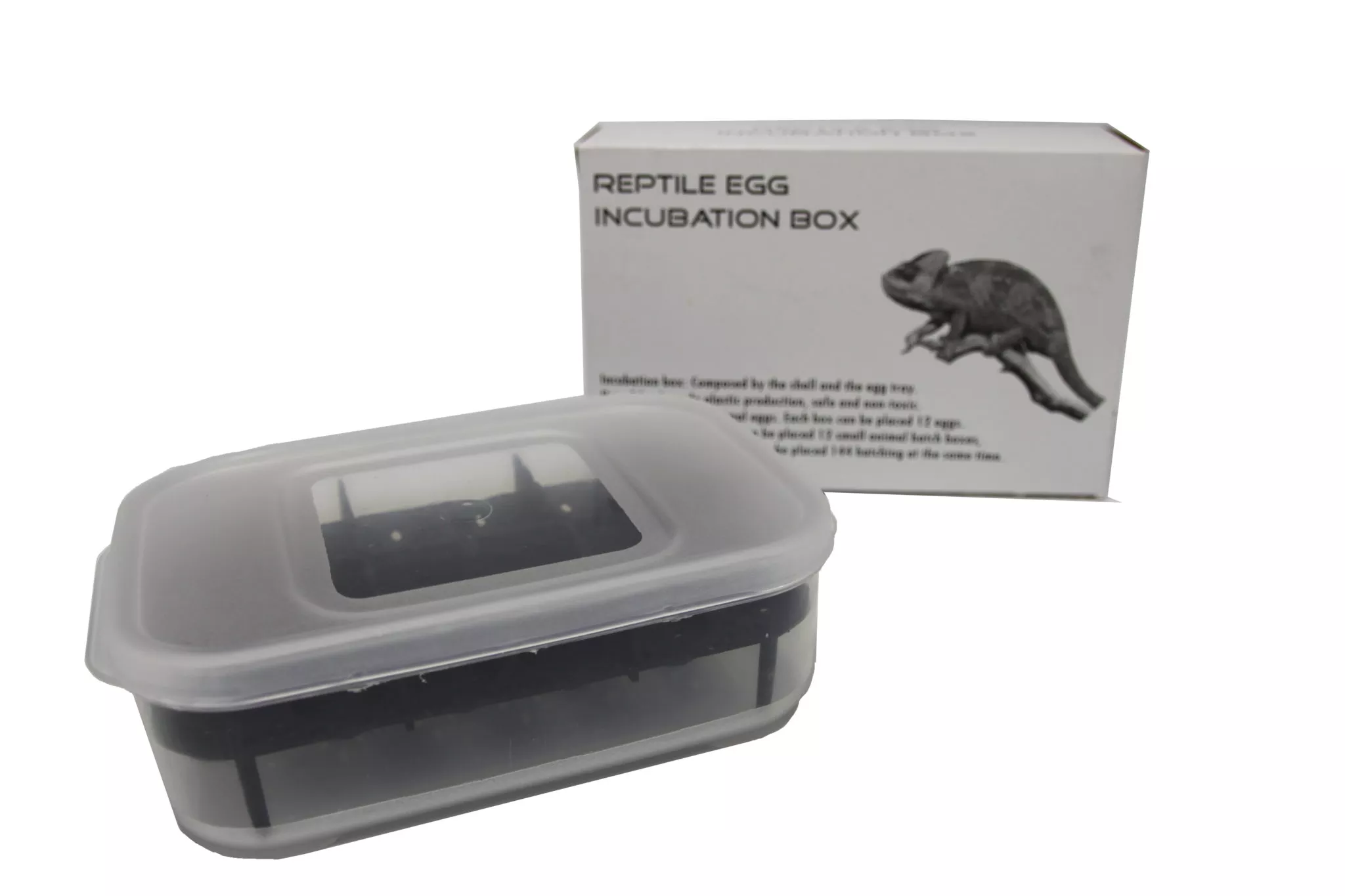 Gecko Egg Incubation Container