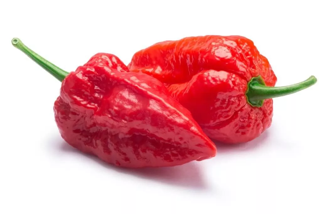Ghost Pepper