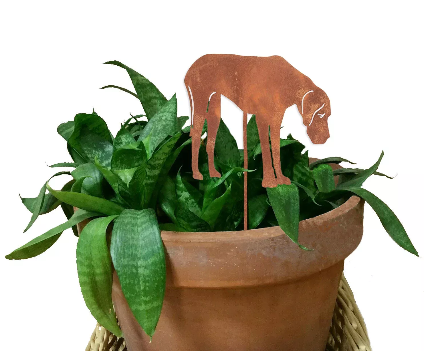 Great Dane Plant Stake