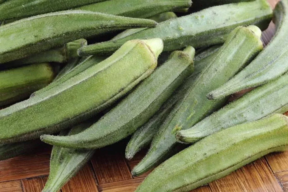 Green Fingers Okra