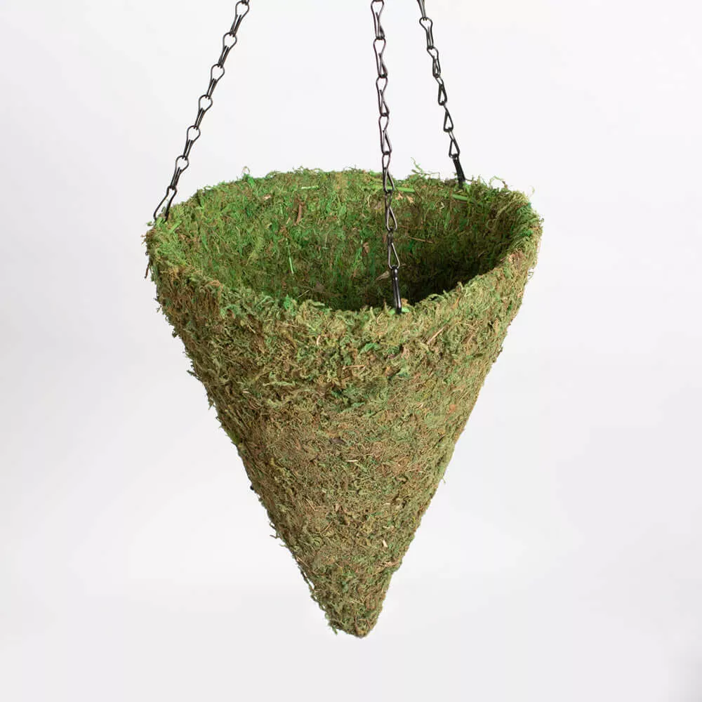 Green Preserved Moss Hanging Cone Basket Triangle Planter