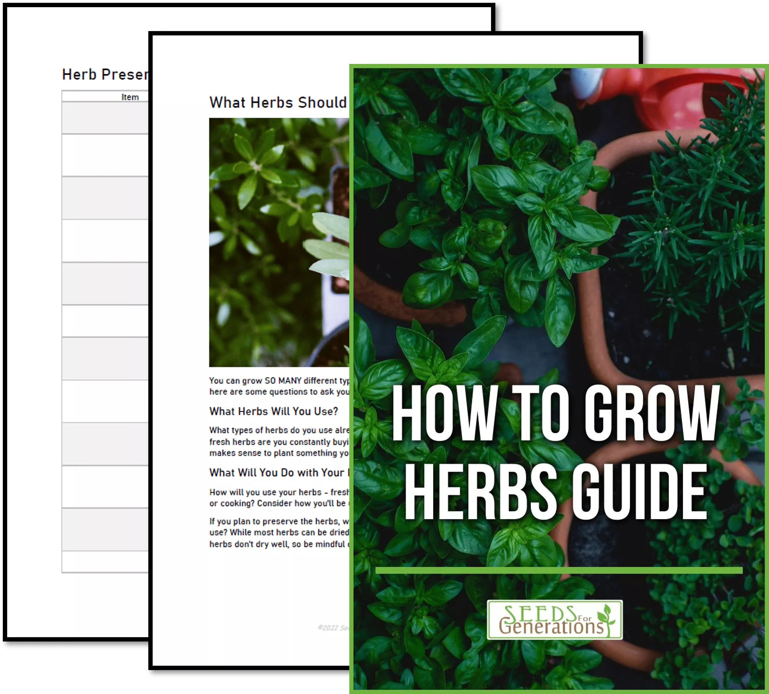 Growing Herbs Guide