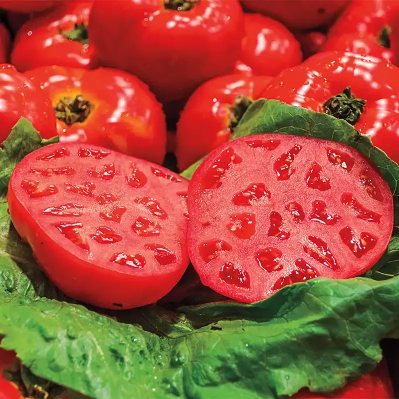 Gurney's Ruby Monster Hybrid Tomato