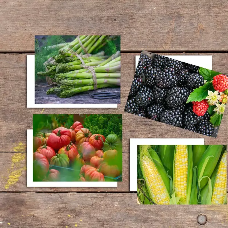 Gurney's Veggie Notecards