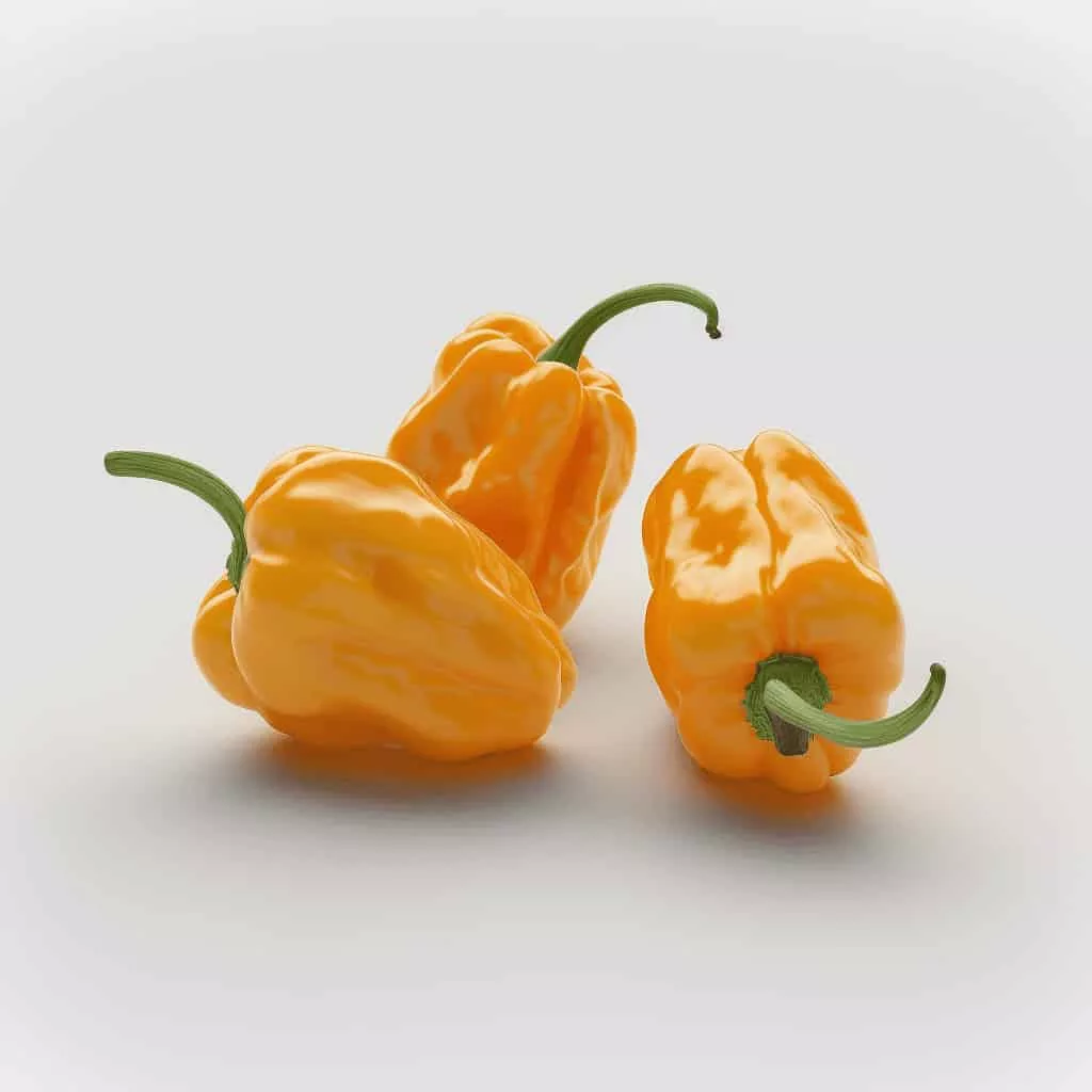 Habanero Pepper