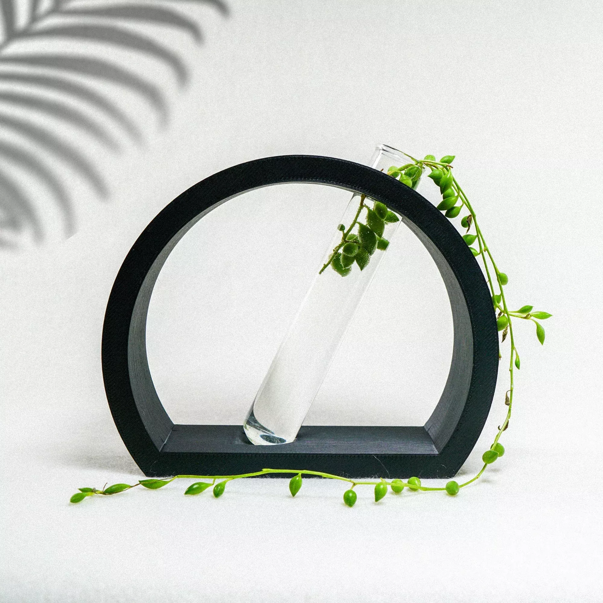 Half-Moon Propagation