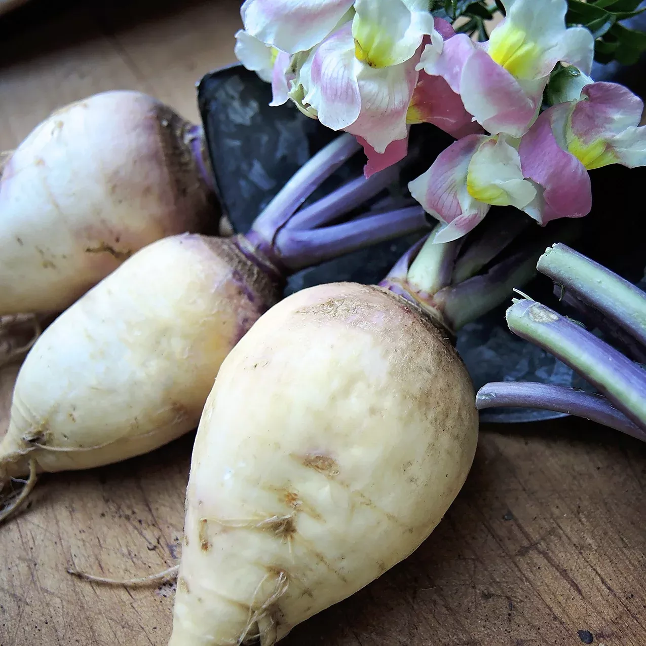 Helenor Rutabaga