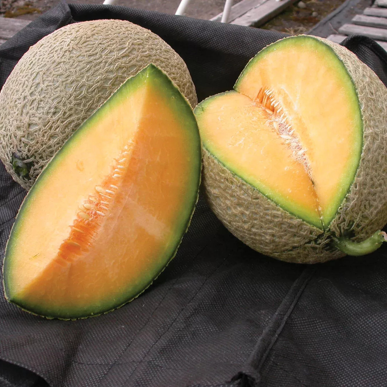 Home Run Cantaloupe