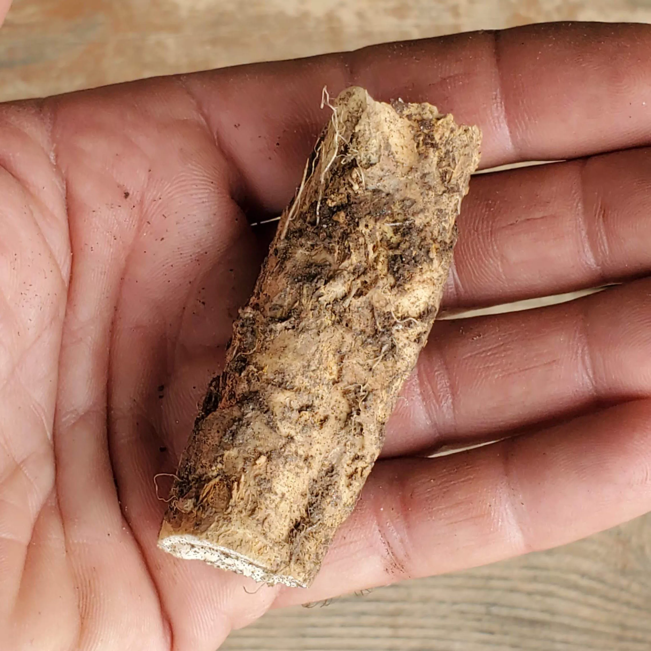 Horseradish Root