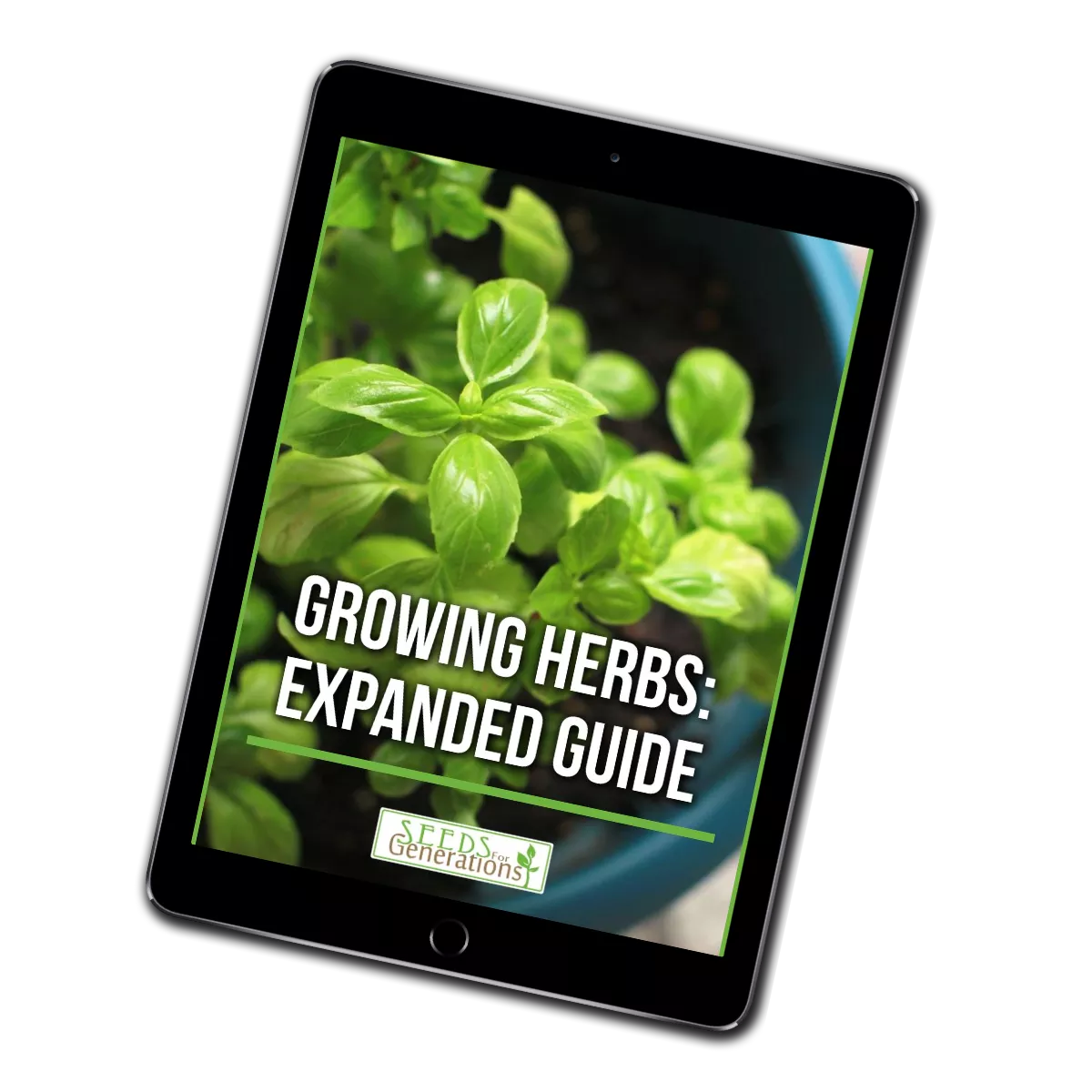 How to Grow Herbs Expanded Guide