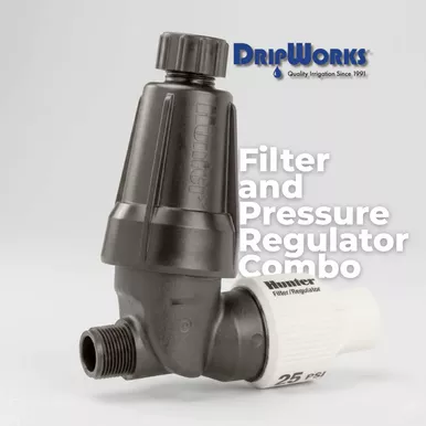 Hunter HFR Filter Pressure Regulating ¾” Inlet 25 PSI