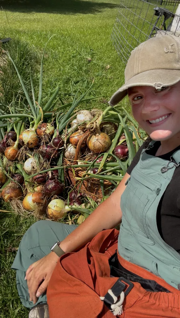 Intermediate Day Combo Case Onion Plants – 30 Bunch Case