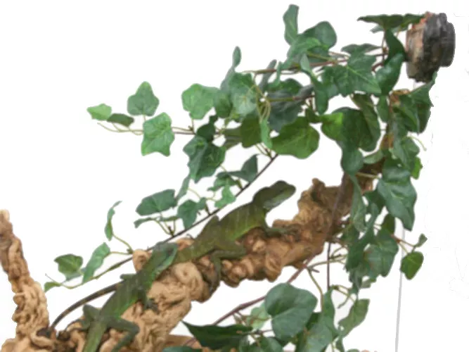 Jungle Vine Cluster