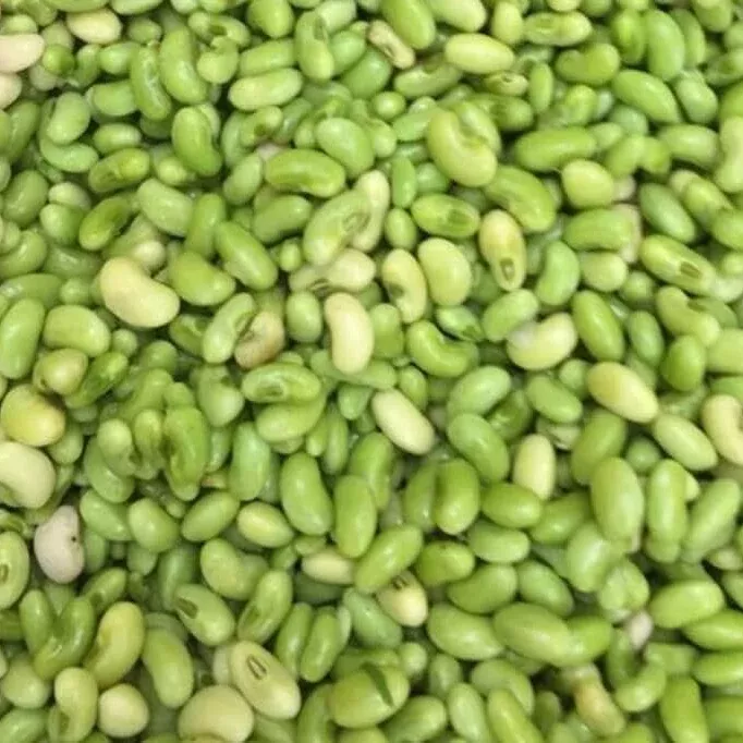 Lady Cream Pea